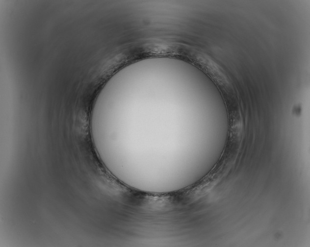 X0000091070469200708201413