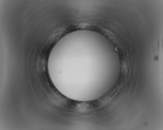 X0000091070470200708201413