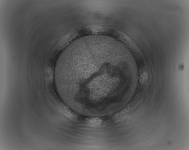 X0000091070471200708201414