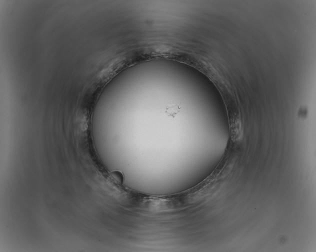 X0000091070472200708201414