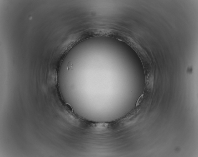 X0000091070474200708201414