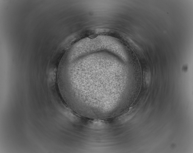 X0000091070475200708201414