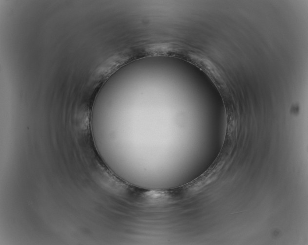 X0000091070477200708201414