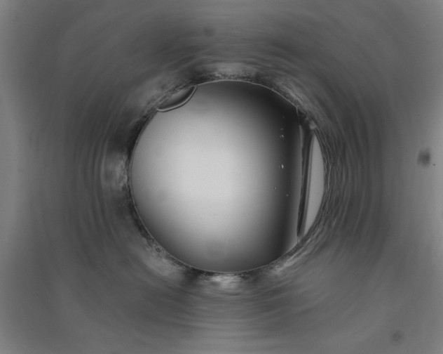 X0000091070478200708201414