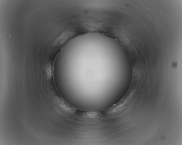 X0000091070479200708201414