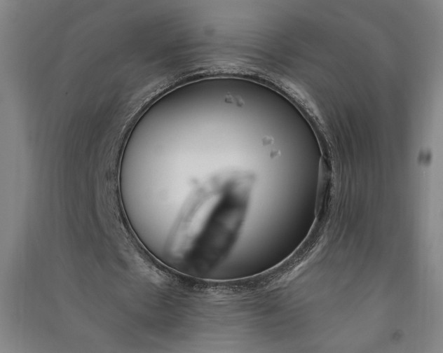 X0000091070481200708201413