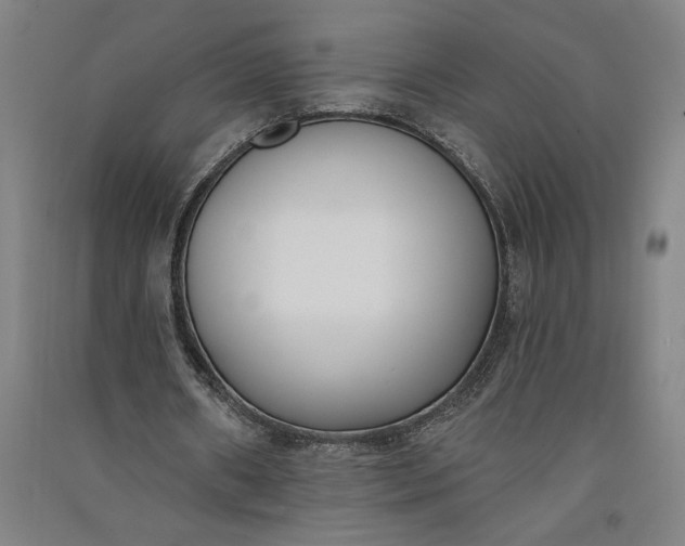 X0000091070482200708201413