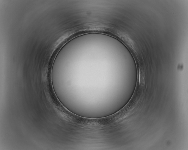 X0000091070483200708201413