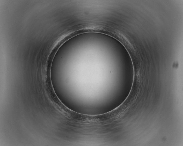 X0000091070484200708201413