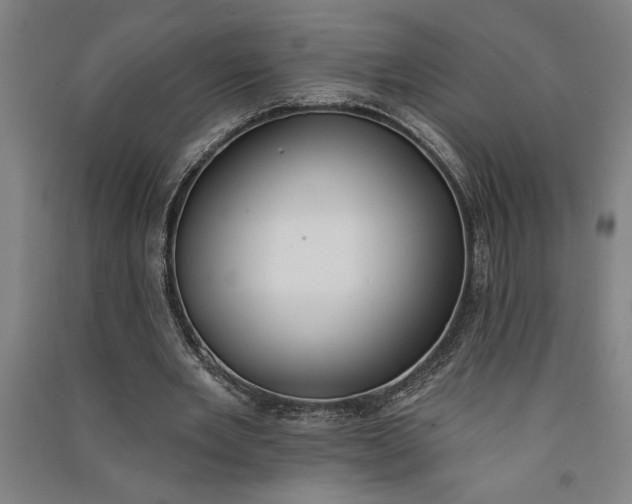 X0000091070485200708201413