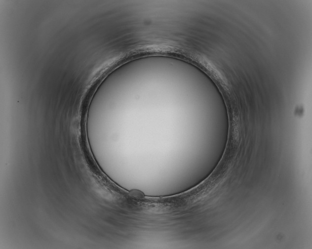 X0000091070486200708201413