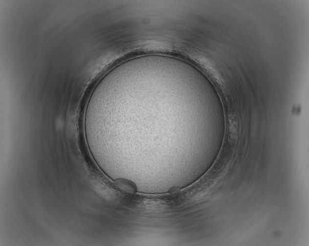 X0000091070487200708201413