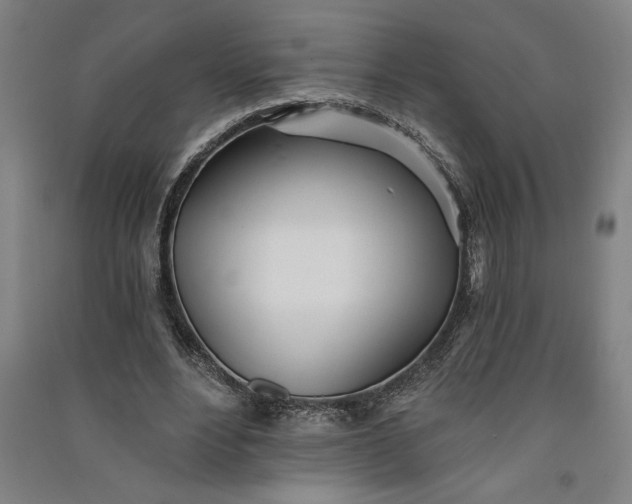 X0000091070488200708201413