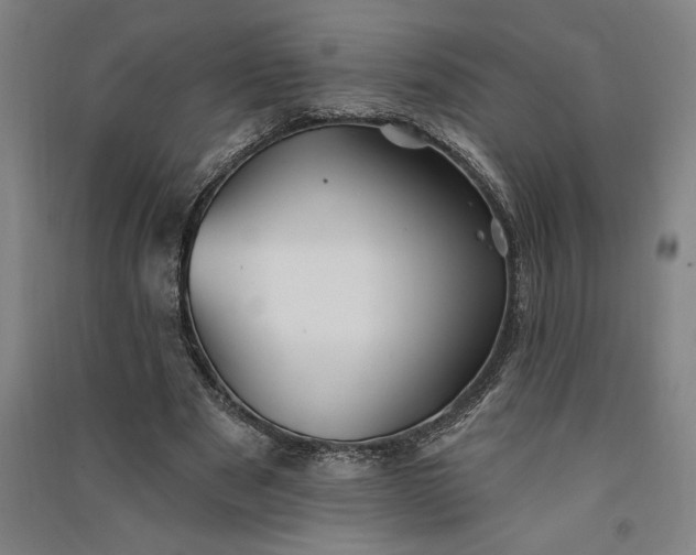 X0000091070489200708201413