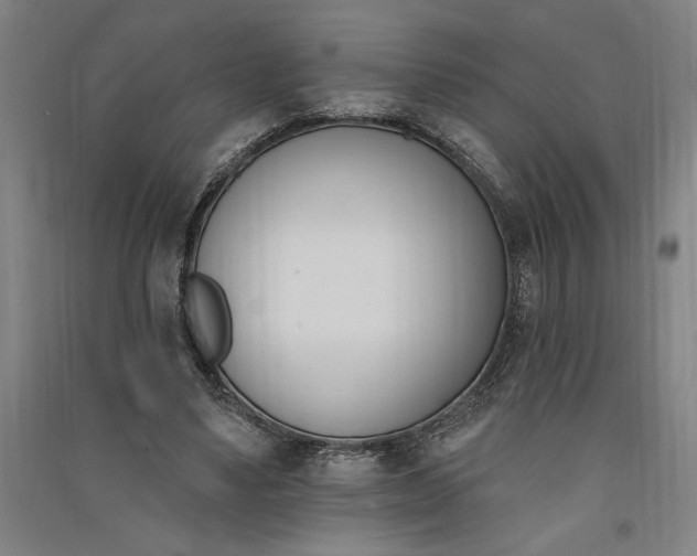 X0000091070491200708201413