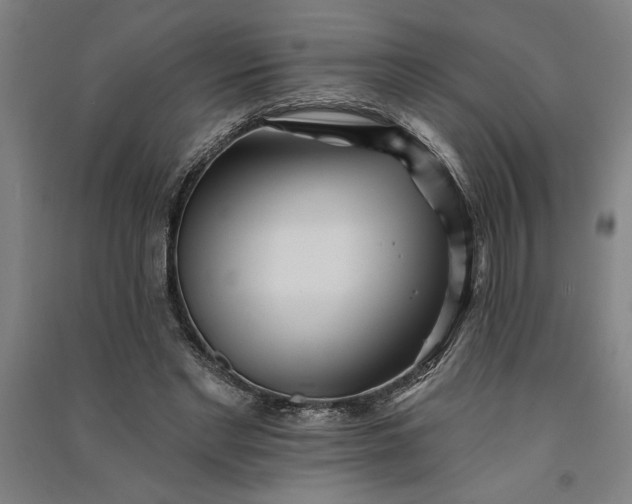 X0000091070493200708201413