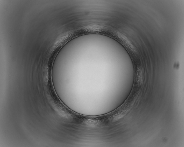 X0000091070494200708201413