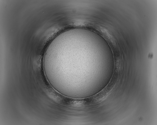 X0000091070495200708201412