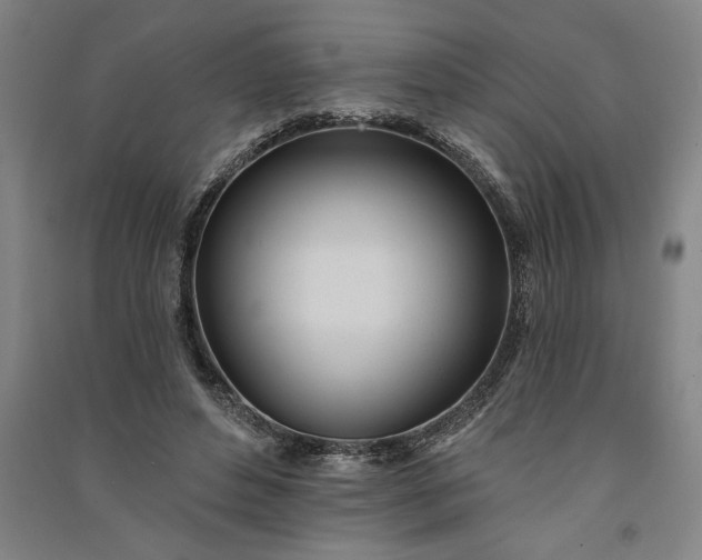 X0000091070496200708201412