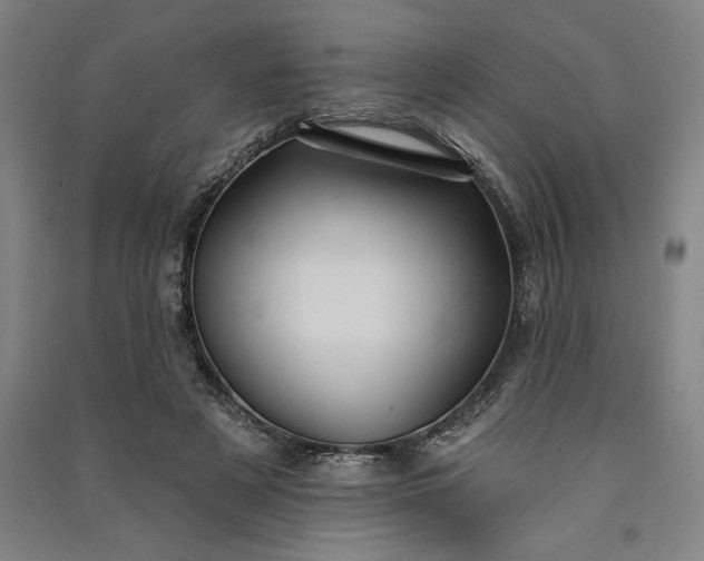 X0000091070497200708201412