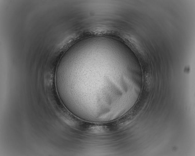 X0000091070499200708201412