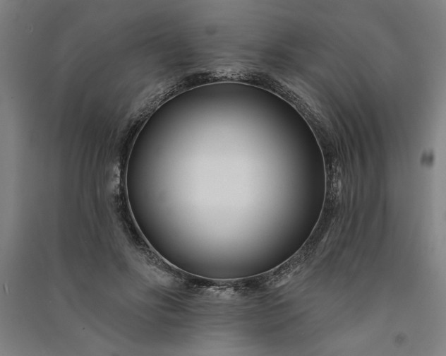 X0000091070502200708201412