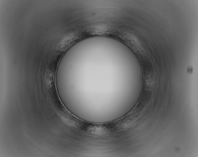 X0000091070503200708201412