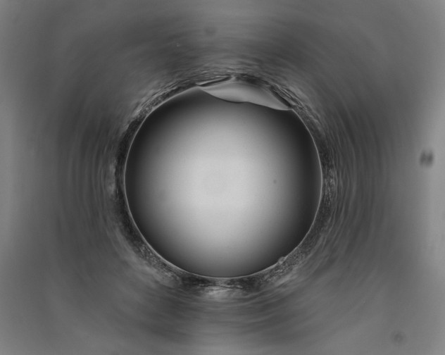 X0000091070504200708201412