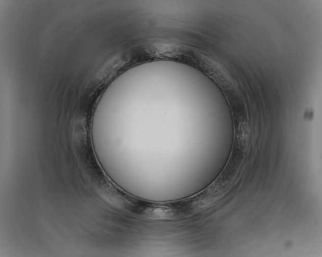 X0000091070506200708201412