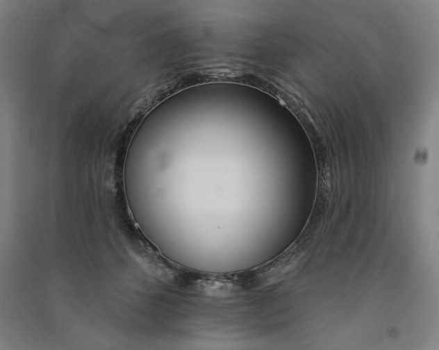 X0000091070512200708201412