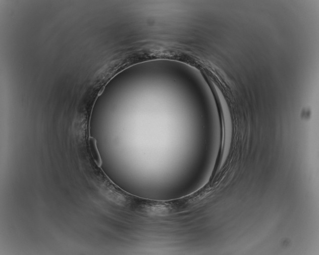 X0000091070513200708201412