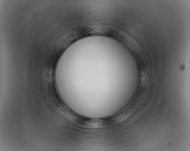 X0000091070514200708201412