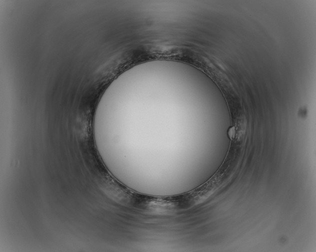 X0000091070515200708201412