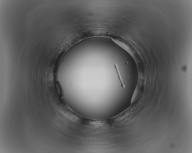 X0000091070516200708201412