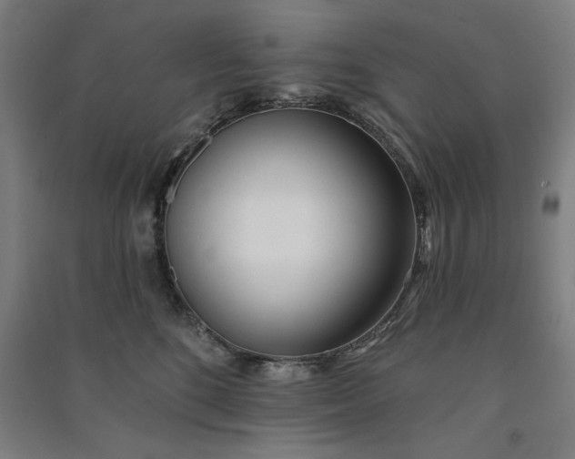 X0000091070520200708201412