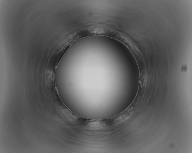 X0000091070521200708201412