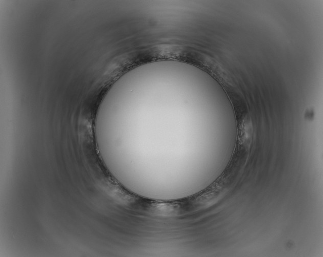 X0000091070522200708201412