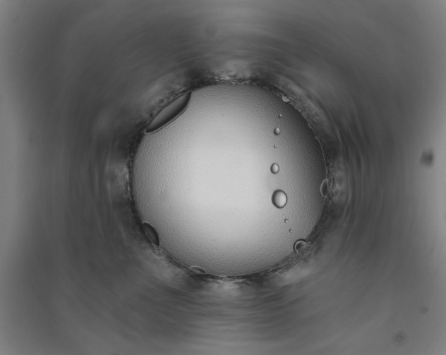 X0000091070523200708201412