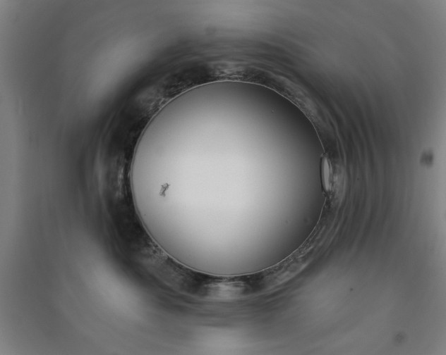 X0000091070525200708201412