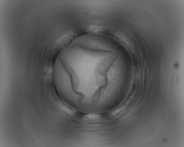 X0000091070526200708201412