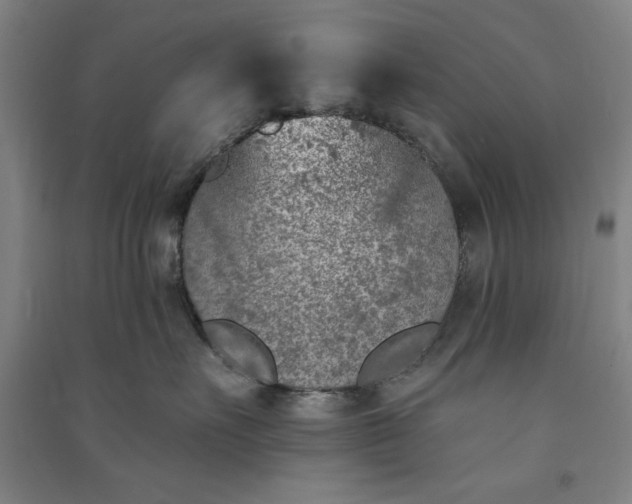 X0000091070527200708201412