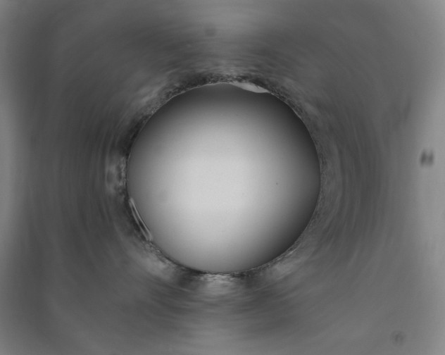 X0000091070528200708201412