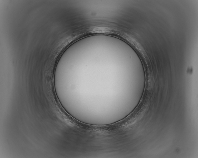 X0000091070529200708201411