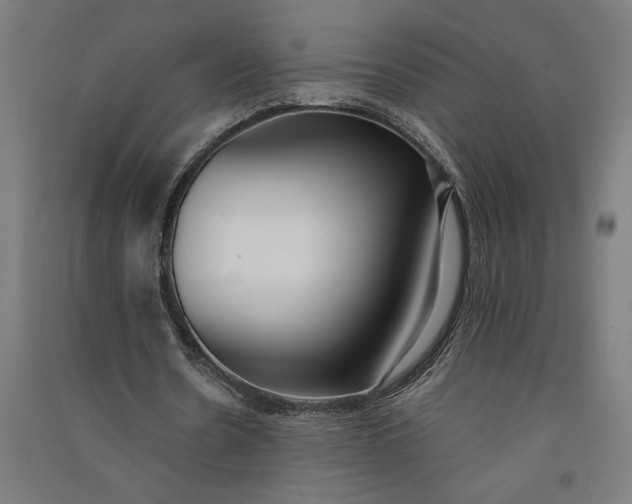 X0000091070530200708201411