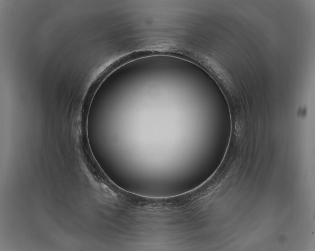 X0000091070532200708201411