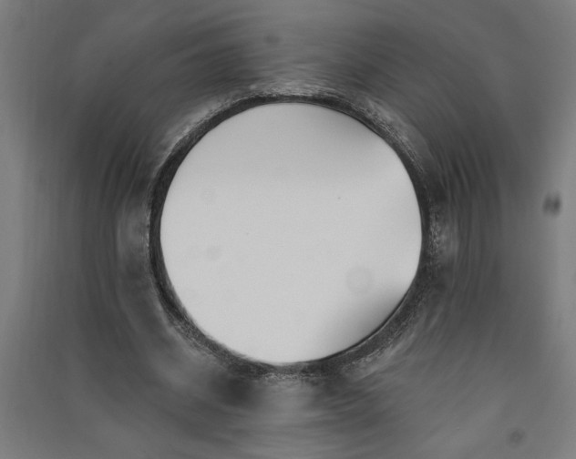 X0000091070534200708201411