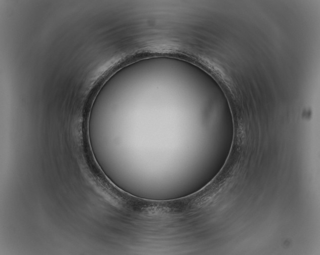 X0000091070535200708201411