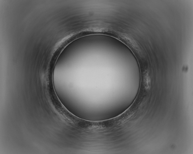 X0000091070536200708201411