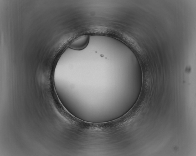 X0000091070538200708201411