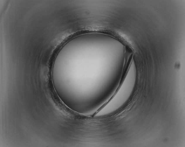 X0000091070540200708201411